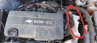 20200715_114416.jpg