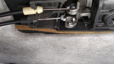 IMG_20200819_150155.jpg