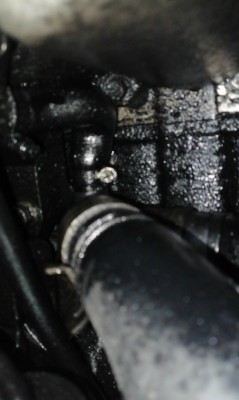 Screenshot_20210129_102813.jpg