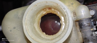 IMG_20210207_181919.jpg