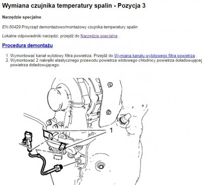 CZUJNIK TEM. SPALIN.JPG