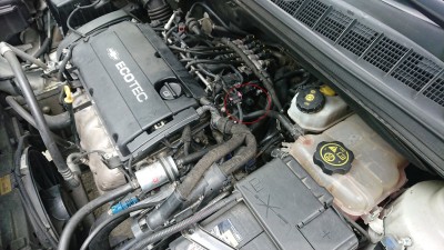 DSC_3203_.jpg