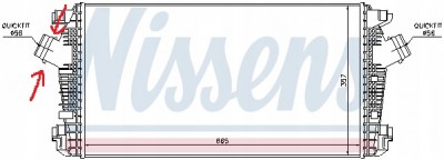 nissen.jpg