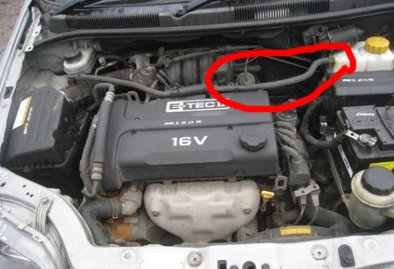 aveo.jpg
