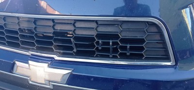 IMG_20220811_070923.jpg