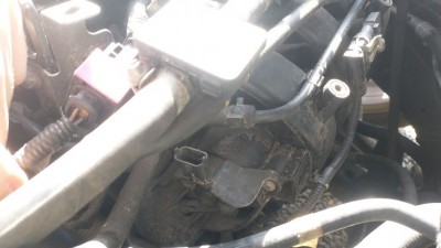 IMG_20230922_144157561.jpg