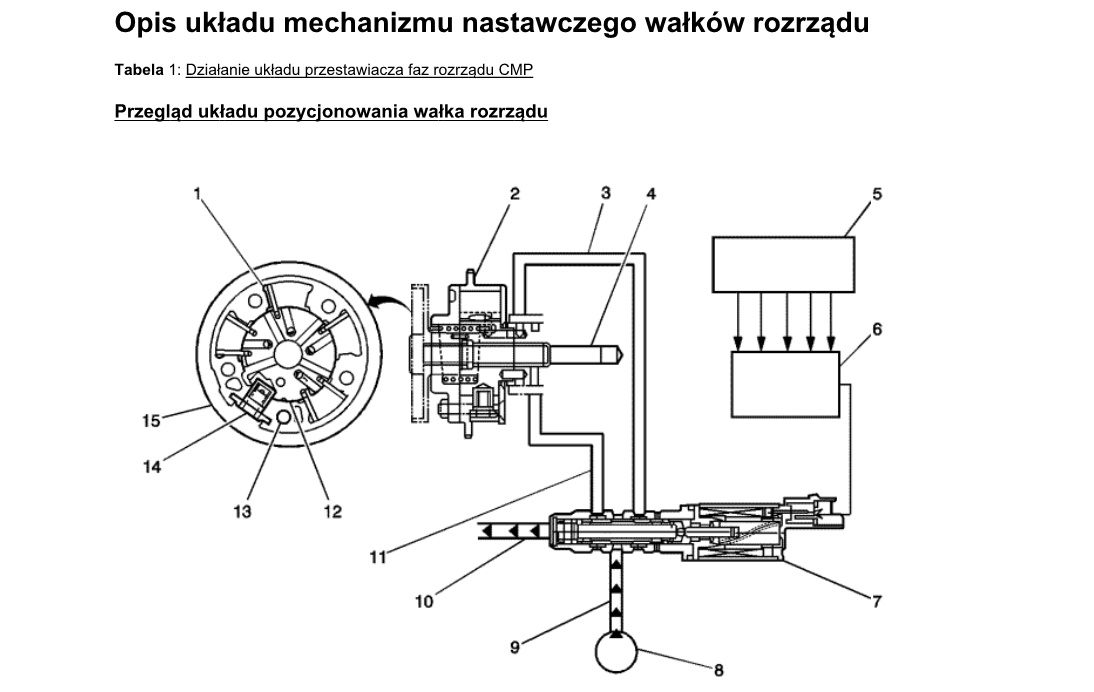 cmp_1.jpg
