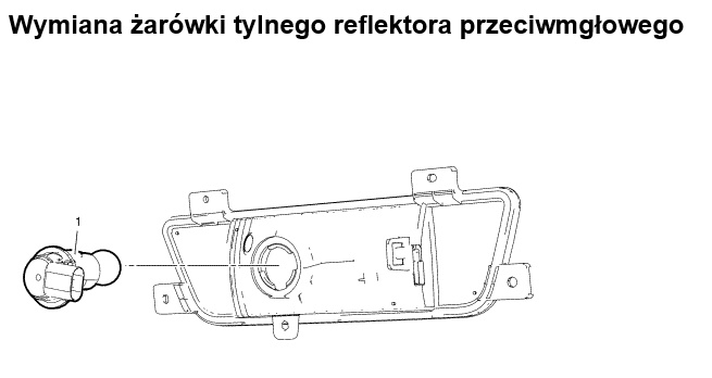 tylne orlando zarowka.jpg