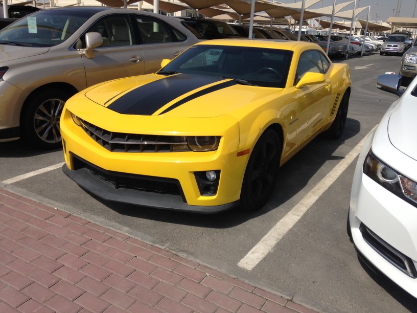 img-0449_5.jpg