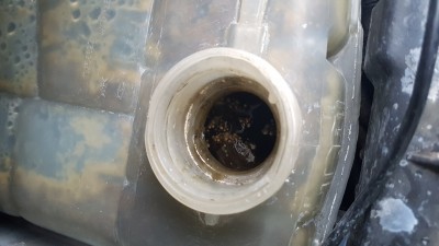 20180611_081329.jpg