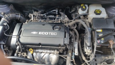 20180909_123357.jpg