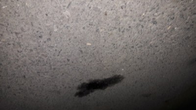 20190217_205604.jpg