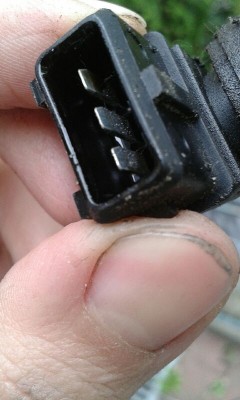 20190506_180623.jpeg