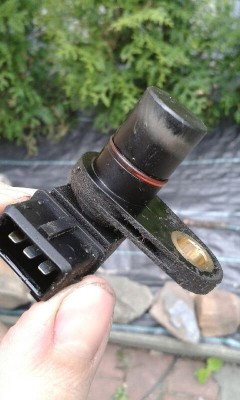 20190506_180636.jpeg
