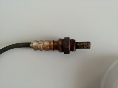 20190508_104425.jpg