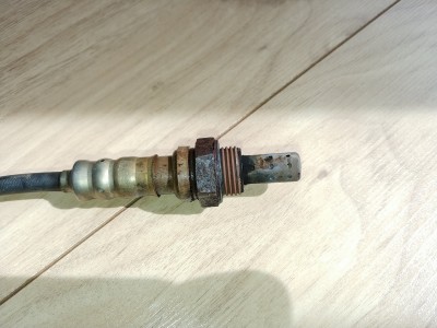 20190508_104436.jpg