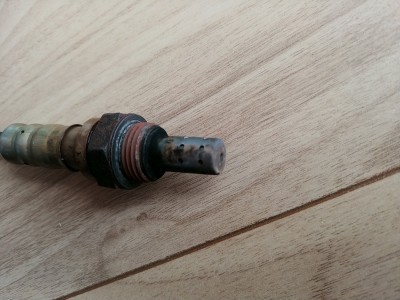 20190508_104449.jpg