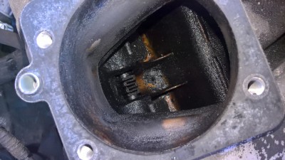 WP_20180219_13_10_19_Pro.jpg